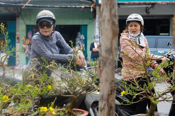 Nhiều khách đến đây chọn mua về trang trí nhà đón năm mới.