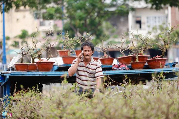 Nhiều nhà vườn còn giao hoa cho các khu vực lân cận như Bình Dương, Biên Hòa.