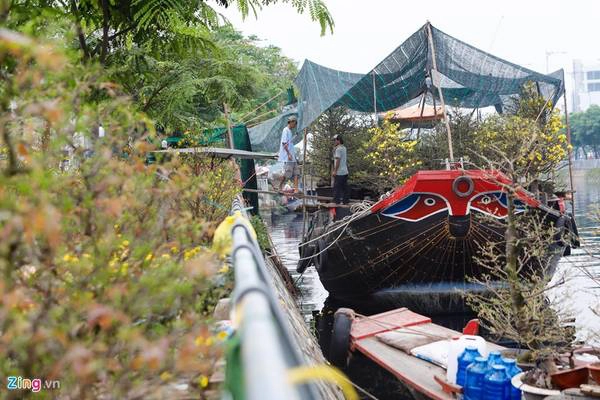 Năm nay nhiều nhất là ghe từ Cái Mơn (Bến Tre) đổ về. Nhiều chiếc chở hàng trăm chậu kiểng, cây mai lớn.