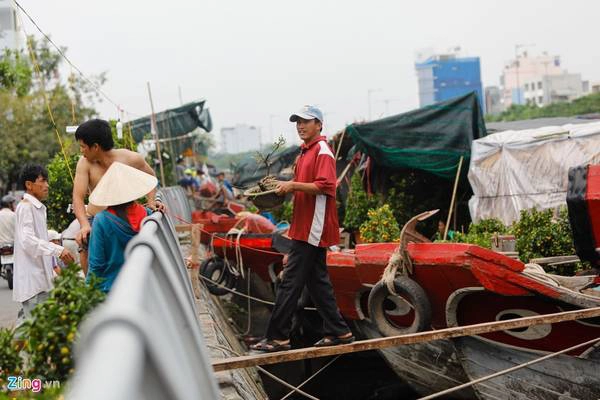 Giá bình quân một lô thuê bán hoa là 5 triệu suốt mùa. Các ghe sẽ cặp ngay lô thuê để thuận tiện chuyển hàng.