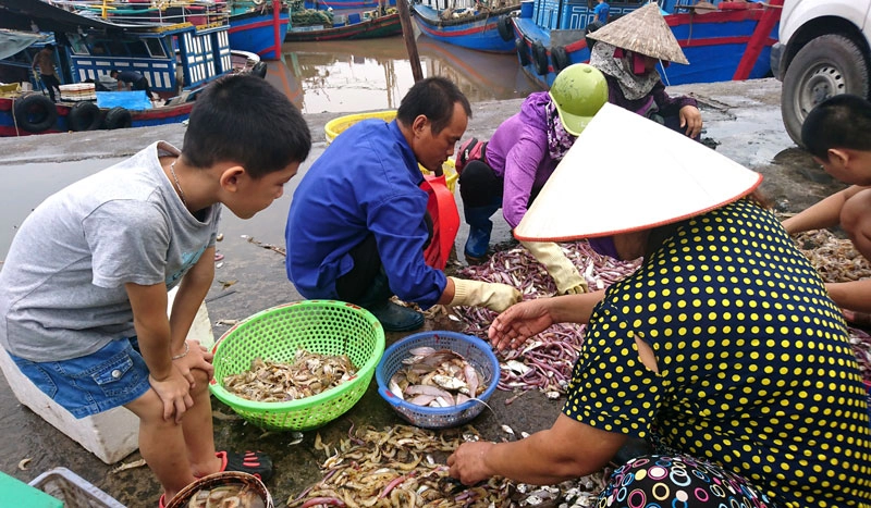 Phân loại tôm cá ngay trên bến. Phân loại tôm cá ngay trên bến.