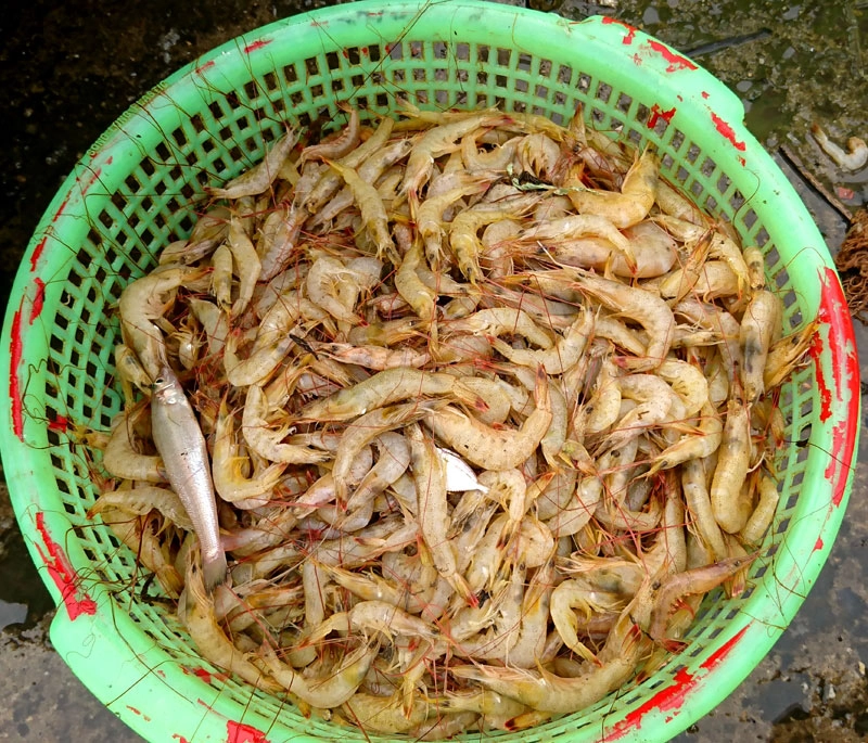 Ngay gần cảng có có chợ Ngọc Hải bán rất nhiều hải sản đem từ cảng lên. Ngay gần cảng có có chợ Ngọc Hải bán rất nhiều hải sản đem từ cảng lên.