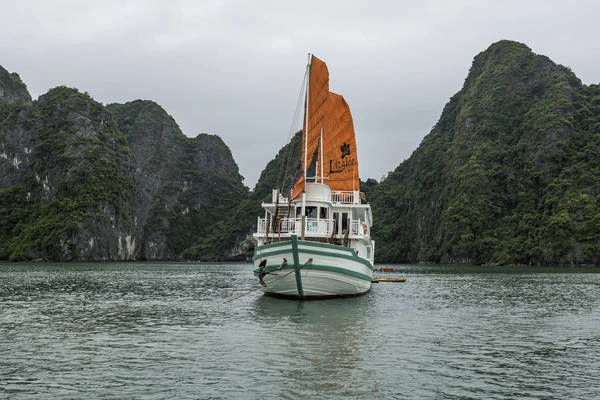 Tận hưởng cảm giác diệu kỳ khi ngắm chiều hoàng hôn Vịnh Hạ Long trên boong tàu giữa mênh mông sóng nước hay đón những tia nắng mặt trời đầu tiên trên mặt biển bao la là những điều bạn sẽ được trải nghiệm khi lưu trú trên du thuyền L’Azalée. Tận hưởng cảm giác diệu kỳ khi ngắm chiều hoàng hôn Vịnh Hạ Long trên boong tàu giữa mênh mông sóng nước hay đón những tia nắng mặt trời đầu tiên trên mặt biển bao la là những điều bạn sẽ được trải nghiệm khi lưu trú trên du thuyền L’Azalée.