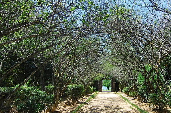 Vùng đất Kim Long có nhiều nhà vườn tạo nên một hệ thống nhà vườn đặc sắc. Từ giữa thế kỷ 17, chúa Nguyễn Phúc Lan đã chọn nơi này làm thủ phủ xứ Đàng Trong, và vùng đất này trở nên phồn thịnh. Bên cạnh những hoàng cung lộng lẫy là dinh cơ, phủ đệ của những ông hoàng, bà chúa và giới thượng lưu. Theo sử sách ghi chép, tới thời nhà Nguyễn (1802-1945), vua Gia Long đã xây kinh thành mới ở khu vực làng Phú Xuân kế đó không xa. Khu vực Kim Long không hề kém vị thế, lại càng phù hợp để xây dựng những cơ ngơi riêng của hoàng tộc và quan lại triều đình. Nhà vườn An Hiên cũng như nhiều nhà vườn khác ở nơi đây được ra đời trong bối cảnh ấy. Vùng đất Kim Long có nhiều nhà vườn tạo nên một hệ thống nhà vườn đặc sắc. Từ giữa thế kỷ 17, chúa Nguyễn Phúc Lan đã chọn nơi này làm thủ phủ xứ Đàng Trong, và vùng đất này trở nên phồn thịnh. Bên cạnh những hoàng cung lộng lẫy là dinh cơ, phủ đệ của những ông hoàng, bà chúa và giới thượng lưu. Theo sử sách ghi chép, tới thời nhà Nguyễn (1802-1945), vua Gia Long đã xây kinh thành mới ở khu vực làng Phú Xuân kế đó không xa. Khu vực Kim Long không hề kém vị thế, lại càng phù hợp để xây dựng những cơ ngơi riêng của hoàng tộc và quan lại triều đình. Nhà vườn An Hiên cũng như nhiều nhà vườn khác ở nơi đây được ra đời trong bối cảnh ấy.
