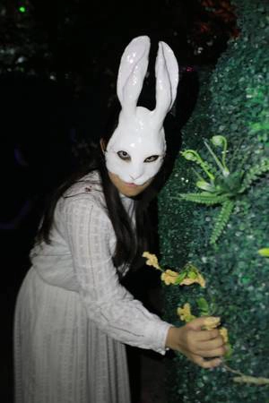 Bãi tha ma thứ hai giống như thế giới của Alice in Wonderland. Tại đó có những chú thỏ Phục Sinh ác quỷ, Humpty Dumpty hay thậm chí cả Ông Già Tuyết phiên bản sát nhân hàng loạt cầm chiếc rìu to để hăm dọa bất cứ ai đặt chân tới đây. Halloween Horror Nights 7 diễn ra trong 14 đêm được lựa chọn nhất định từ 29/9 đến 29/10, bắt đầu từ 19h30. Vé phổ thông tham dự sự kiện này có giá 68 đôla Singapore (vào khoảng 1,1 triệu đồng). Ảnh: Nick M, RWS