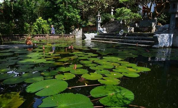 Ao hoa súng nằm bên vườn tượng đá cổ mang lại cảm giác quen thuộc của một không gian sống truyền thống thuần Việt, nơi mà bạn cảm thấy rằng bầu trời, trái đất, động vật và cây cối tồn tại trong sự hài hòa hoàn hảo.
