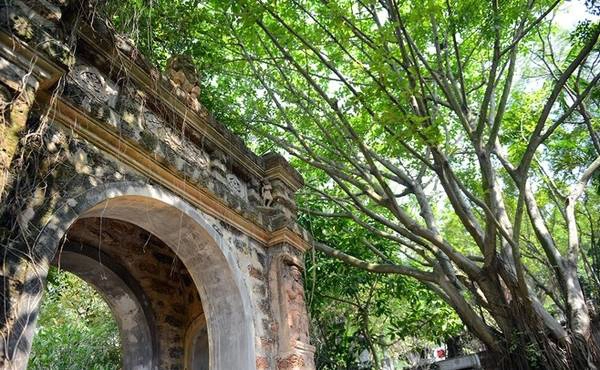 Nhiều cây cổ thụ lớn và các kiến trúc cổng Chăm rêu phong quen thuộc của làng quê Tây Nam Bộ.