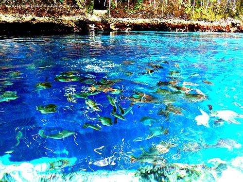 Baguasan nói rằng những nàng tiên cá đang bảo vệ dòng sông khỏi tác động từ bên ngoài. Đó là lý do mà nhiều du khách đã bị đau nhức cơ thể hoặc mẩn ngứa không rõ nguyên nhân sau khi tắm ở đây. "Những người không biết tôn trọng dòng sông, ồn ào khi tới đây thường gặp những phiền toái mà bạn không thể giải thích được".