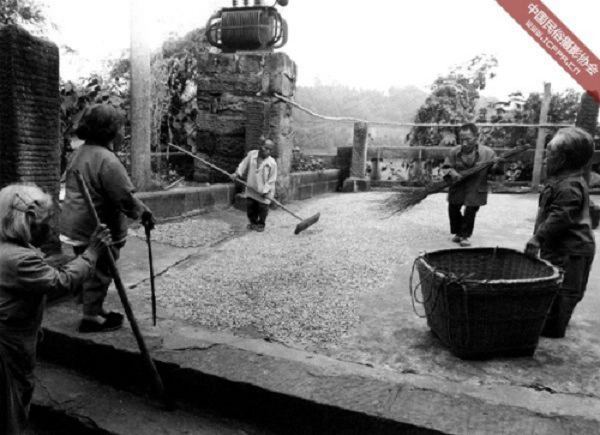 Nhiều nhà khoa học đã tới đây và tiến hành khám sức khoẻ cho những người lùn, phân tích mẫu đất, nước và hạt giống nơi đây nhưng chưa tìm ra nguyên nhân. Có người phỏng đoán triệu chứng này là nhiễm khí độc khi người Nhật chiếm đóng nơi này. Nhưng trên thực tế, quân đội Nhật chưa bao giờ đặt chân đến vùng đất này. Năm 1997, một nghiên cứu cho thấy nồng độ thủy ngân cao trong đất, nhưng nó vẫn chưa được chứng minh có liên quan tới những triệu chứng lạ dân làng Yangsin mắc phải. Chính phủ Trung Quốc không phủ nhận sự tồn tại của ngôi làng nhưng cũng không cho phép khách người nước ngoài đến thăm. Ảnh: Wu Chuanming.
