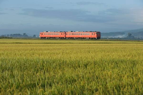 2. Mua vé tàu giảm giá: Nếu đi tàu shinkansen là một phần không thể thiếu trong trải nghiệm Nhật Bản của bạn, hãy chọn các gói khuyến mại như Puratto Kodama. Vé một chiều này giúp bạn tiết kiệm 4.000 yên so với giá thông thường khi đi từ Tokyo đến Osaka. Bạn cũng có thể mua vé Seishun 18 để hưởng 5 ngày đi tàu hỏa không giới hạn. Ảnh: Matcha-jp.