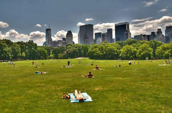  Tắm nắng ở Sheep Meadow. Ảnh: Timeout.