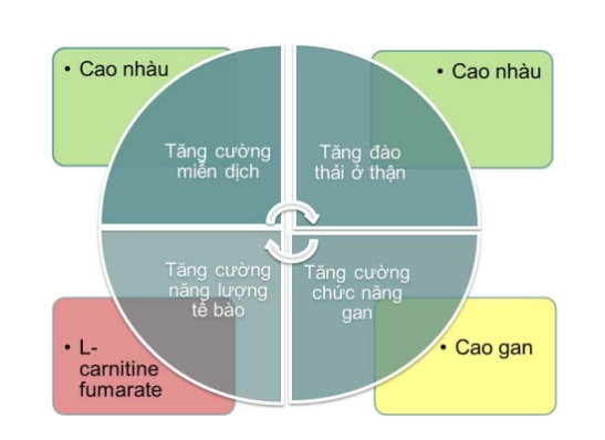 Bị nổi mề đay liên tục