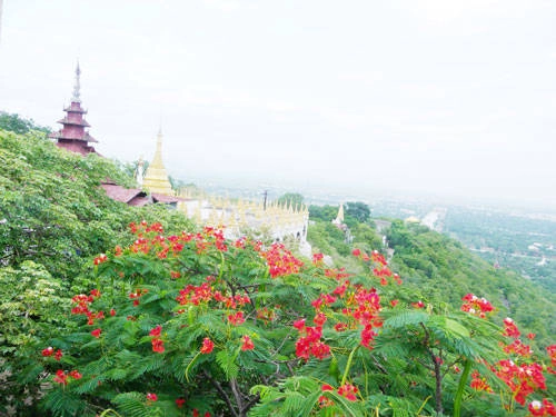 Đồi Mandalay ở Mandalay - iVIVU.com