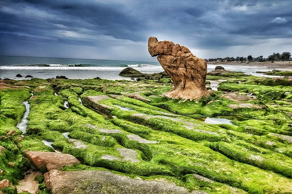 Hiện tại, lớp rong, rêu hầu như phủ kín hết bãi đá. Theo người địa phương, rêu mọc trên đá dày hay mỏng, xanh tươi hay không là do thời tiết. "Lớp rêu bám trên đá thường giữ được hơn một tháng. Hiện còn khoảng 2 tuần nữa thì 'chiếc áo' này sẽ dần mất đi". Hiện tại, lớp rong, rêu hầu như phủ kín hết bãi đá. Theo người địa phương, rêu mọc trên đá dày hay mỏng, xanh tươi hay không là do thời tiết. "Lớp rêu bám trên đá thường giữ được hơn một tháng. Hiện còn khoảng 2 tuần nữa thì 'chiếc áo' này sẽ dần mất đi".