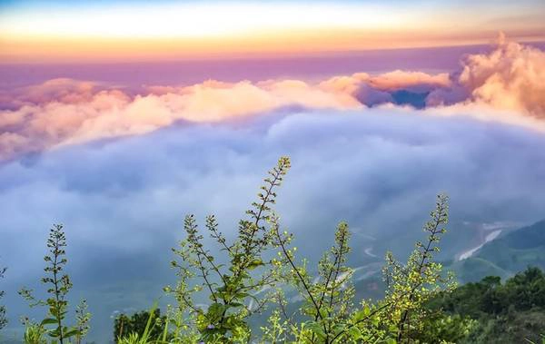 Sau khi mưa xuống và nắng lên được xem là thời điểm thuận lợi cho du khách “săn mây”. Sau khi mưa xuống và nắng lên được xem là thời điểm thuận lợi cho du khách “săn mây”.