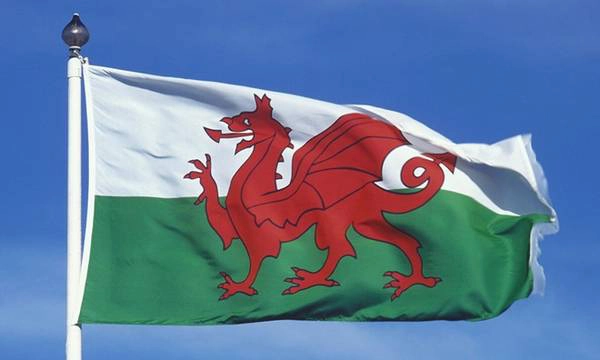 Nhìn xa thì có vẻ biểu tượng chính trên cờ của xứ Wales trông khá giống của Sri Lanka, nhưng sinh vật này không phải sư tử mà là một con rồng đỏ. Nhìn xa thì có vẻ biểu tượng chính trên cờ của xứ Wales trông khá giống của Sri Lanka, nhưng sinh vật này không phải sư tử mà là một con rồng đỏ.