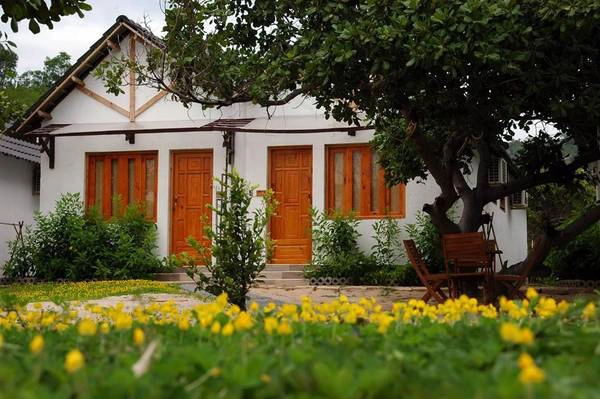Villa Đảo Hoa Vàng. Ảnh: Cocotravel Villa Đảo Hoa Vàng.