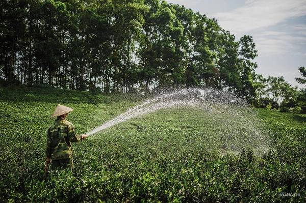 Đồi chè Tân Cương thuộc xã Tân Cương, cách trung tâm thành phố Thái Nguyên khoảng 10 km về phía tây nam. Đồi chè này nằm trong vựa chè rộng 1.300 ha. Khi mặt trời ló rạng, cả vùng đất xanh mát bừng lên sức sống.