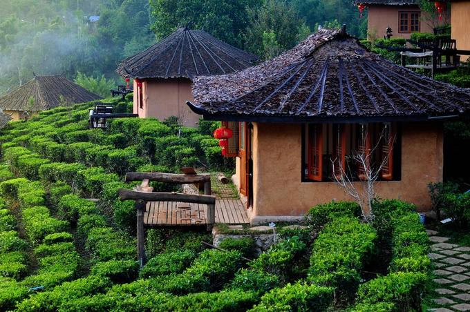 Các resort hầu hết đều xây kiểu bungalow riêng biệt, lợp mái lá mát vào mùa hè, ấm vào mùa đông, trải dài trên sườn đồi, xen lẫn giữa đồi chè tươi mát. Tuy nhiên, do số phòng ít nên nơi này thường hết phòng vào các dịp lễ Tết.