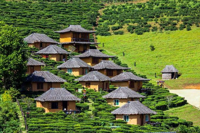  Khách lưu trú vừa tận hưởng không khí trong lành miền quê, vừa chụp ảnh thỏa thích tại đồi chè. Bạn cũng có thể chọn các nhà nghỉ trong làng có giá hợp túi tiền hơn, rồi thuê xe đạp thong thả dạo quanh làng.