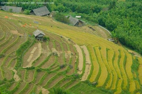 blogger-tu-van-chuyen-3-ngay-cho-nguoi-lan-dau-di-sa-pa-ivivu-14