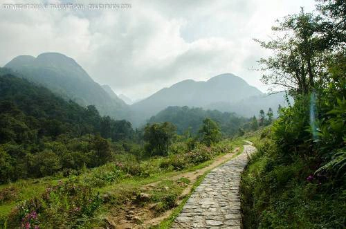 Con đường vắng vẻ và thơ mộng dẫn tới suối Vàng và thác Tình Yêu. Thác này gắn liền với truyền thuyết về một nàng tiên, trong một lần cùng bạn bè xuống trần dạo chơi vô tình gặp chàng tiều phu tên Ô Quy Hồ, nàng đem lòng yêu thương chàng trai. Tuy nhiên tình yêu của tiên và người bị ngăn cấm, nàng buồn rầu hóa thành chú chim, cất tiếng kêu Ô Quy Hồ da diết. Ảnh: Trần Việt Anh.