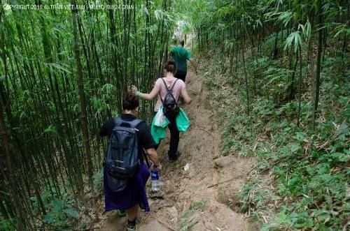 blogger-tu-van-chuyen-3-ngay-cho-nguoi-lan-dau-di-sa-pa-ivivu-8