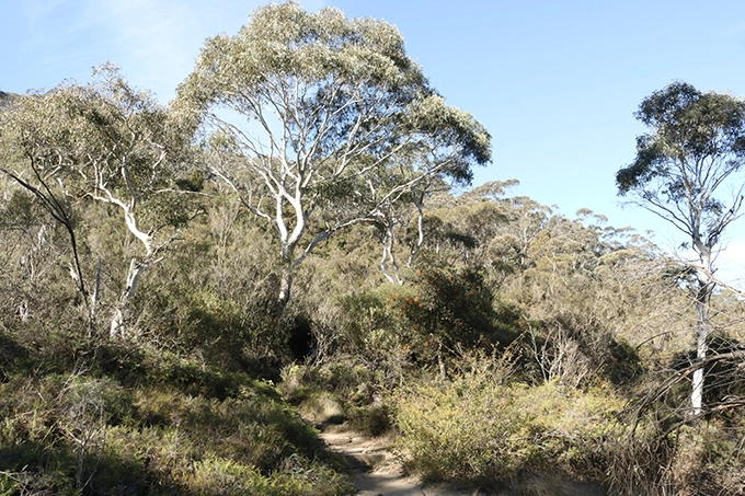 blue-mountains-ngon-nui-xanh-ky-la-o-australia-ivivu-6