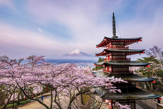 Đây là bức ảnh đoạt giải của Takashi Nakazawa trên tạp chí National Geographic. Tấm hình được chụp trong mùa hoa anh đào ở Nhật, nhìn từ một ngôi chùa năm tầng ở công viên Arakurayama Sengen, phía xa là núi Phú Sĩ. Đây là bức ảnh đoạt giải của Takashi Nakazawa trên tạp chí National Geographic. Tấm hình được chụp trong mùa hoa anh đào ở Nhật, nhìn từ một ngôi chùa năm tầng ở công viên Arakurayama Sengen, phía xa là núi Phú Sĩ.