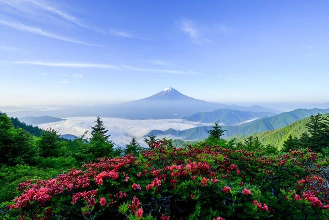Những bông hoa nở vào mùa xuân tạo nên tiền cảnh đầy màu sắc cho núi Phú Sĩ. Những bông hoa nở vào mùa xuân tạo nên tiền cảnh đầy màu sắc cho núi Phú Sĩ.
