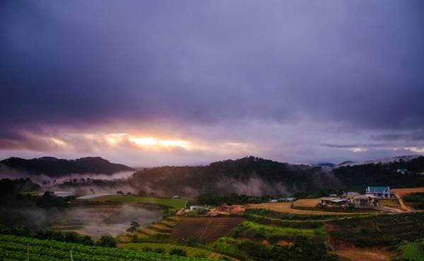 Bình minh sương mù vào mùa mây luồng ở Đà Lạt. Những ruộng bậc thang cho ta cảm giác như ở vùng Tây Bắc. Ảnh: Quốc Bảo.