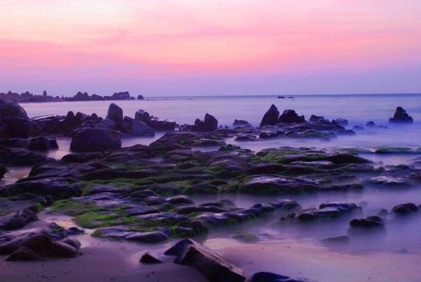 Bãi rêu Cổ Thạch (Bình Thuận). Ảnh: Nhi Nguyễn.