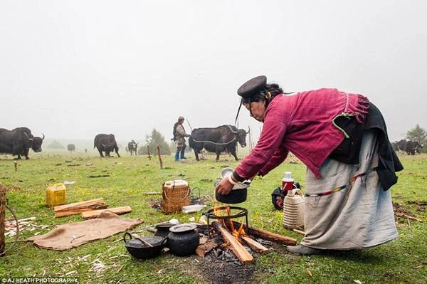 Thịt và sữa bò yak là một phần quan trọng trong thực đơn của người Brokpa. Mỗi ngày, những người chăn gia súc thường uống cả chục cốc trà bơ yak. Thịt và sữa bò yak là một phần quan trọng trong thực đơn của người Brokpa. Mỗi ngày, những người chăn gia súc thường uống cả chục cốc trà bơ yak.