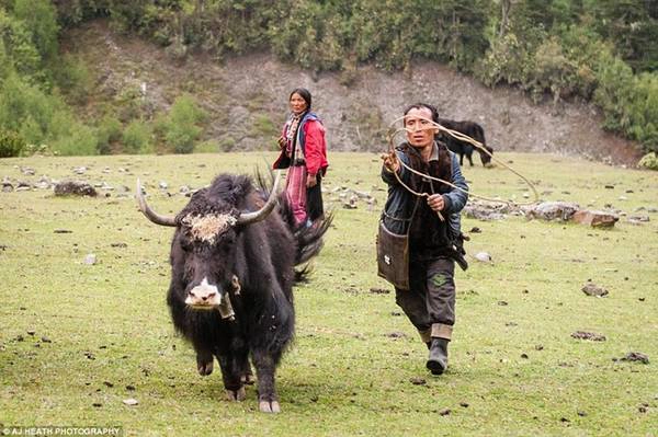 Heath cho biết anh thường được mời uống trà bơ yak khi chụp ảnh người Brokpa. Anh nhớ lại: “Phần lớn những người tôi chụp ảnh đều mời tôi uống vài cốc trà bơ với họ, và vài ly Ara (rượu địa phương) nữa”. Heath cho biết anh thường được mời uống trà bơ yak khi chụp ảnh người Brokpa. Anh nhớ lại: “Phần lớn những người tôi chụp ảnh đều mời tôi uống vài cốc trà bơ với họ, và vài ly Ara (rượu địa phương) nữa”.