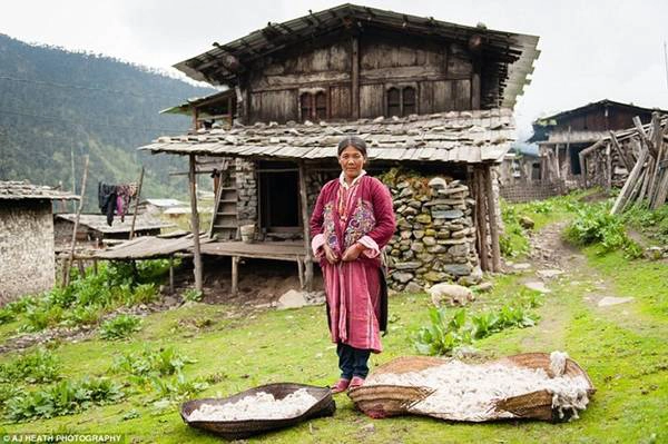 Họ chăn nuôi bò yak và cừu, sống nhờ thịt và lông của chúng. Một người Brokpa đứng cạnh khay phơi len. Họ chăn nuôi bò yak và cừu, sống nhờ thịt và lông của chúng. Một người Brokpa đứng cạnh khay phơi len.