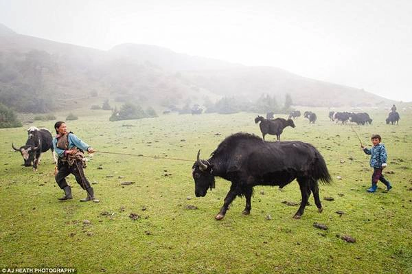 Khu vực người Brokpa sinh sống có sự chênh lệch lớn về độ cao, không thích hợp để trồng trọt. Khu vực người Brokpa sinh sống có sự chênh lệch lớn về độ cao, không thích hợp để trồng trọt.
