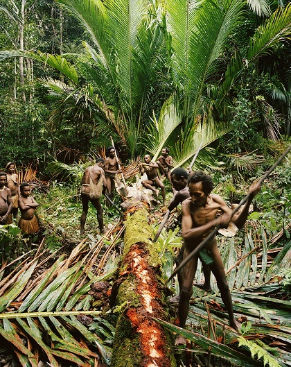 Vũ khí của người Kombai là cung tên và rìu tự chế. Ảnh: Frederic Lagrange.