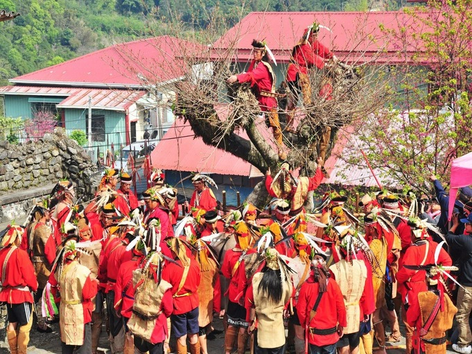 Người Tsou tôn thờ những vị thần hiện diện trong mọi khía cạnh cuộc sống của bộ tộc này. Họ có nhiều lễ hội song ba ngày Mayasvi, Miyapo và Homeyaya là quan trọng nhất. Tất cả được tổ chức tại kuba, một nhà mái tranh có vai trò như không gian văn hóa tâm linh của cả làng. Ảnh: Weibo.