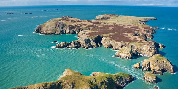 Pembrokeshire sở hữu công viên quốc gia bờ biển duy nhất ở Anh và một trong 3 vườn quốc gia nổi tiếng của riêng xứ Wales. Pembrokeshire sở hữu công viên quốc gia bờ biển duy nhất ở Anh và một trong 3 vườn quốc gia nổi tiếng của riêng xứ Wales.