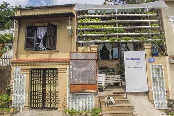 Garden city homestay Homestay có vườn rau xanh là điểm nhấn thu hút nhiều du khách tới đây. Bạn có thể tham gia trồng rau cùng chủ nhà. Ảnh: vacbalo.