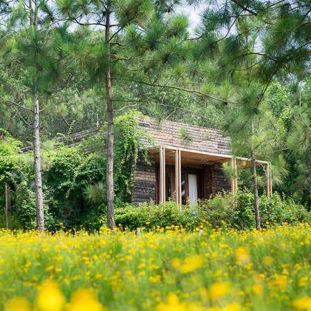 Không gian xanh của khu Hilltop Deluxe Villa.