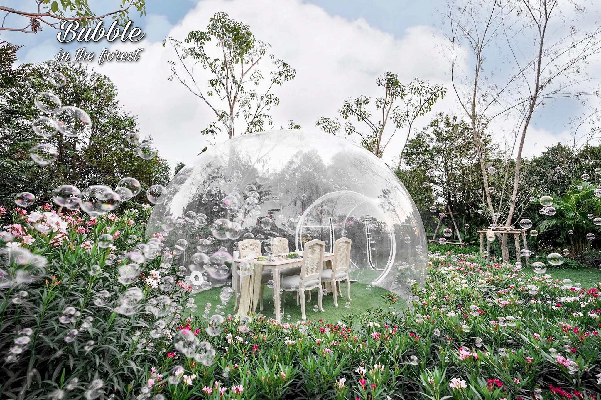 Bubble-in-the-forest-ivivu-7