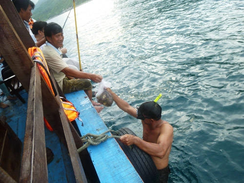 và bắt lên cả túi...