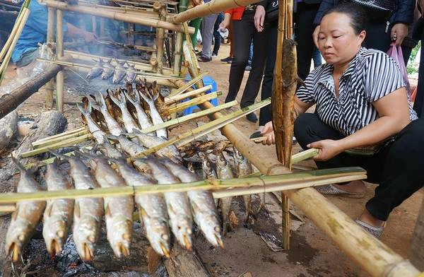 Cá thiểu, cá trắm đen, cá măng, cá ngão, cá bò, cá lăng... là những loại cá đặc sản của vùng lòng hồ sông Đà. Chiếc lều bạt dựng tạm, gác thêm vài thanh tre, dưới là bếp lửa đỏ hồng, chỉ sau vài tiếng một mẻ cá lại chín, du khách có thể thưởng thức tại chỗ với một ít muối tiêu. Cá thiểu, cá trắm đen, cá măng, cá ngão, cá bò, cá lăng... là những loại cá đặc sản của vùng lòng hồ sông Đà. Chiếc lều bạt dựng tạm, gác thêm vài thanh tre, dưới là bếp lửa đỏ hồng, chỉ sau vài tiếng một mẻ cá lại chín, du khách có thể thưởng thức tại chỗ với một ít muối tiêu.