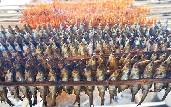 Cá thiều một loài cá chỉ có ở lòng hồ sông Đà, thịt cá mềm, ngọt, vảy cá nhỏ. Cá phù hợp chế biến các món nướng khi ăn cuốn bánh đa nem hoặc chấm muối tiêu chanh. Cá thiều một loài cá chỉ có ở lòng hồ sông Đà, thịt cá mềm, ngọt, vảy cá nhỏ. Cá phù hợp chế biến các món nướng khi ăn cuốn bánh đa nem hoặc chấm muối tiêu chanh.