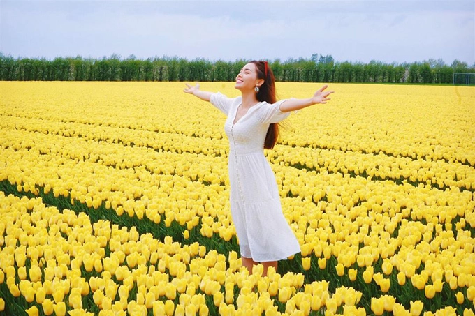 Hoa tulip có nhiều màu sặc sỡ như vàng, đỏ, hồng, người ta trồng riêng biệt thành từng khu, tạo nên những thảm hoa đẹp động lòng người. Linh Phi chia sẻ: "Đến với Hà Lan đừng quên một lần đứng giữa những cánh đồng tulip đang trổ bông quyến rũ không cưỡng được. Bạn sẽ cảm nhận được rằng, tulip có thể nở nhiều nơi trên thế giới nhưng chỉ ở Hà Lan, nó mới toát lên hoàn hảo vẻ đẹp yêu kiều, trang nhã theo một cách rất riêng. Tulip ở Hà Lan có rất nhiều màu sắc và ý nghĩa khác nhau. Với người Hà Lan, hoa tulip là biểu tượng của cuộc sống vĩnh cửu, bởi loài hoa này thường nở vào mùa xuân, mùa của sự sống muôn màu muôn sắc", giọng ca Em kể anh nghe cho biết. Hoa tulip có nhiều màu sặc sỡ như vàng, đỏ, hồng, người ta trồng riêng biệt thành từng khu, tạo nên những thảm hoa đẹp động lòng người. Linh Phi chia sẻ: "Đến với Hà Lan đừng quên một lần đứng giữa những cánh đồng tulip đang trổ bông quyến rũ không cưỡng được. Bạn sẽ cảm nhận được rằng, tulip có thể nở nhiều nơi trên thế giới nhưng chỉ ở Hà Lan, nó mới toát lên hoàn hảo vẻ đẹp yêu kiều, trang nhã theo một cách rất riêng. Tulip ở Hà Lan có rất nhiều màu sắc và ý nghĩa khác nhau. Với người Hà Lan, hoa tulip là biểu tượng của cuộc sống vĩnh cửu, bởi loài hoa này thường nở vào mùa xuân, mùa của sự sống muôn màu muôn sắc", giọng ca Em kể anh nghe cho biết.