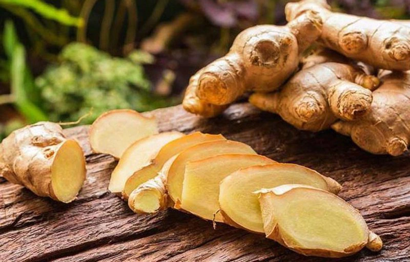 cách bảo quản gừng tươi