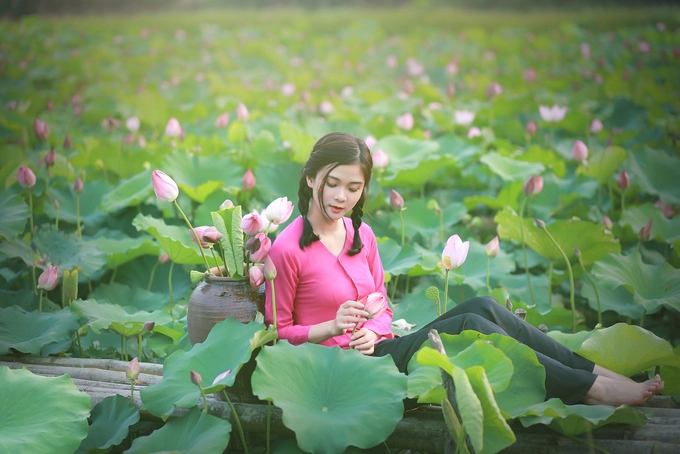 Ngoài chụp ảnh, du khách có thể xin phép người dân để tự tay hái những bông sen đang nở rộ.