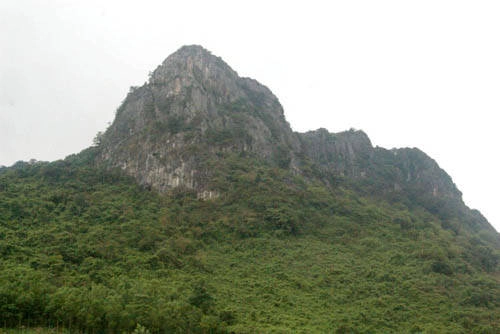 Chùa Non - núi Thần Đinh Chùa nằm ở thôn Rào Đá, Trường Xuân, huyện Quảng Ninh, cách TP. Đồng Hới khoảng 25 km về phía tây nam. Nơi đây được biết đến là “chốn đa Phật” cùng giếng Tiên nằm ngay trước cổng chùa với dòng nước trong vắt, xanh mát mang vị ngọt lành. Chùa thu hút đông đảo du khách đến thắp hương cầu nguyện, uống nước tiên để cầu bình an và sức khỏe. Ngoài ra, du khách cũng được thỏa thích ngắm cảnh yên bình ngay trên dòng sông huyền thoại Đại Giang. Ảnh: Vietnamtourism Chùa Non - núi Thần Đinh Chùa nằm ở thôn Rào Đá, Trường Xuân, huyện Quảng Ninh, cách TP. Đồng Hới khoảng 25 km về phía tây nam. Nơi đây được biết đến là “chốn đa Phật” cùng giếng Tiên nằm ngay trước cổng chùa với dòng nước trong vắt, xanh mát mang vị ngọt lành. Chùa thu hút đông đảo du khách đến thắp hương cầu nguyện, uống nước tiên để cầu bình an và sức khỏe. Ngoài ra, du khách cũng được thỏa thích ngắm cảnh yên bình ngay trên dòng sông huyền thoại Đại Giang. Ảnh: Vietnamtourism