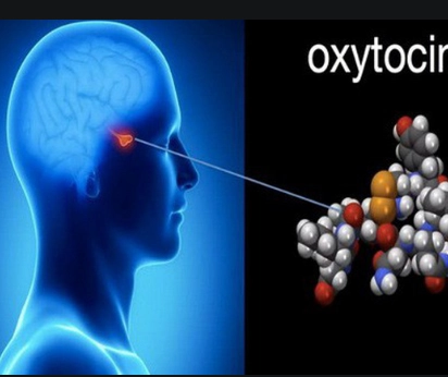 Oxytocin